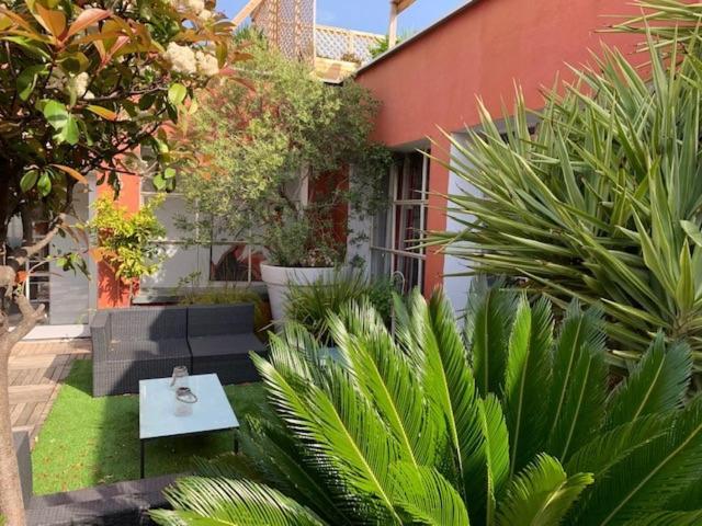 Le Patio Pere Pigne Guestroom Perpignan Eksteriør billede
